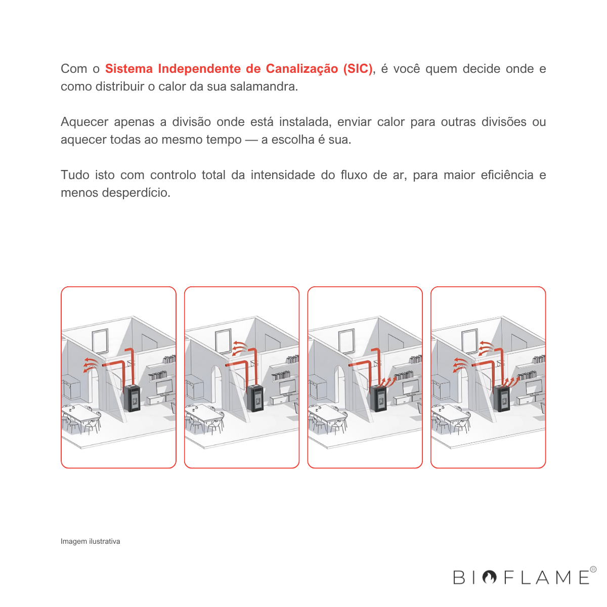 Salamandra a Pellets Biobronpi Adry
